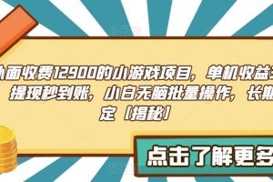 外面收费1290的小游戏项目，单机收益30+，提现秒到账，小白无脑批量操作，长期稳定