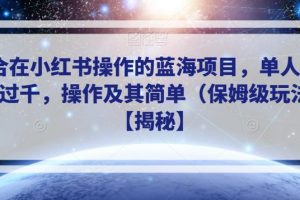 适合在小红书操作的蓝海项目，单人日收入过千，操作及其简单（保姆级玩法）