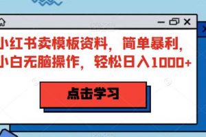 小红书卖模板资料，简单暴利，小白无脑操作，轻松日入1000+