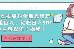 小红书虚拟资料全新思路玩法，流量巨大，轻松日入300+，小白可操作