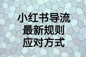 小红书导流最新规则应对方式