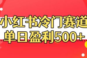 小红书冷门赛道，单日盈利500+