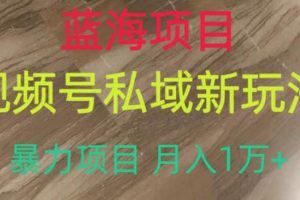 蓝海项目，视频号私域新玩法，暴力项目月入1万+