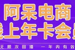 阿呆电商线上年会员，阿呆电商干货分享