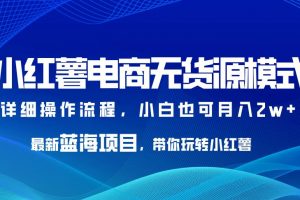 小红薯电商无货源模式，最新蓝海项目，带你玩转小红薯，小白也可月入2w+