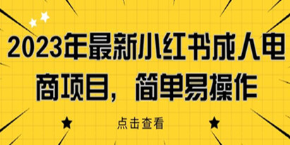 2023年最新小红书成人电商项目，简单易操作【详细教程】