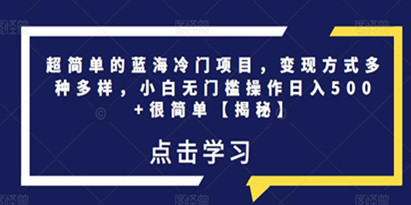 超简单的蓝海冷门项目，变现方式多种多样，小白无门槛操作日入500+很简单【揭秘】