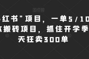 新“小红书”项目，一单5/10元，0成本搬砖项目，抓住开学季，一天狂卖300单