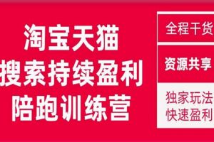 2023未见【無山】淘宝天猫搜索持续盈利陪跑训练营，独家玩法，快速盈利