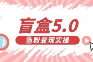 盲盒交友5.0，男粉变现实操项目，亲测变现效果极好