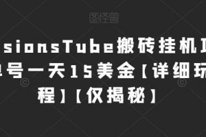 国外VisionsTube搬砖挂机项目，号称单号一天15美金【详细玩法教程】