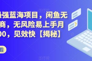 2023最强蓝海项目，闲鱼无货源电商，无风险易上手月赚10000，见效快