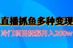 水边直播抓鱼，多种变现途径冷门项目，月入200w拆解