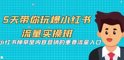 《5天带你玩爆小红书流量实操班》小红书种草是内容营销的重要流量入口