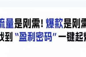 电商盈利精品课：6大盈利密码让产品更好卖，流量是刚需！爆款是刚需！找到”盈利密码”一键起爆