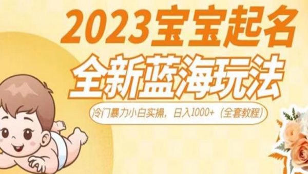 2023宝宝起名全新蓝海玩法，冷门暴力小白实操，日入1000+（全套教程）