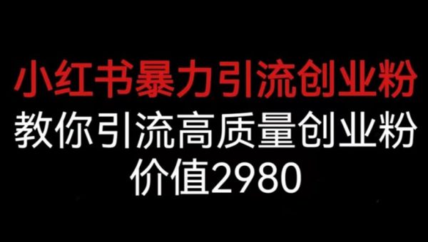 小红书暴力引流创业粉，教你引流高质量创业粉，价值2980