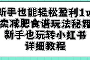 新手也能轻松盈利1w，卖减肥食谱玩法秘籍，新手也玩转小红书详细教程