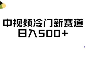 中视频冷门新赛道，做的人少，三天之内必起号，日入500+