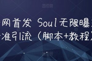 全网首发 Soul无限曝光精准引流（脚本+教程）