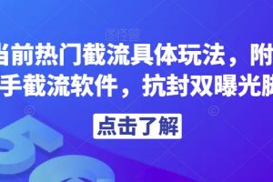 解析当前热门截流具体玩法，附赠全新快手截流软件，抗封双曝光脚本