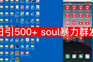 项目船首发】日引500soul暴力群发项目拆解