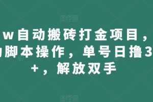 wow自动搬砖打金项目，全自动脚本操作，单号日撸300+，解放双手