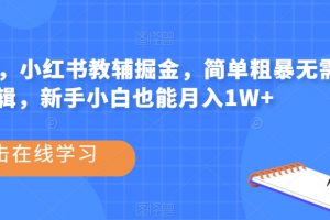 热门蓝海，小红书教辅掘金，简单粗暴无需剪辑，新手小白也能月入1W+