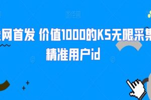 全网首发 价值1000的KS无限采集精准用户id