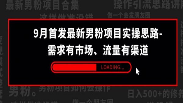 9月首发最新男粉项目实操思路-需求有市场，流量有渠道