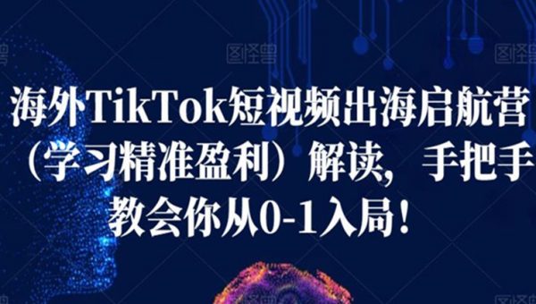 海外TikTok短视频出海启航营（学习精准盈利）解读，手把手教会你从0-1入局！