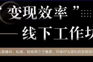 变现效率线下工作坊，从‮播直‬间、私域、‮视短‬频‮个三‬维度，升级IP和团队变现效率