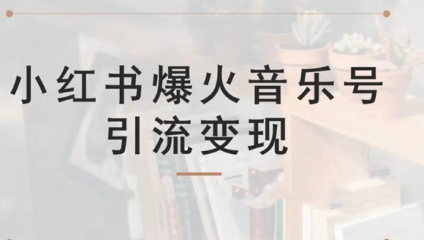 小红书爆火音乐号引流变现项目，视频版一条龙实操玩法分享给你