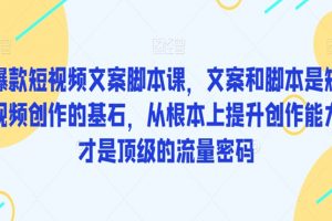 爆款短视频文案脚本课，文案和脚本是短视频创作的基石，从根本上提升创作能力才是顶级的流量密码