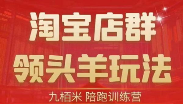 九栢米《淘宝店群领头羊玩法》教你整个淘宝店群领头羊玩法以及精细化/终极蓝海/尾销等内容