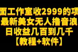 外面工作室收2999的项目最新美女无人撸音浪日收益几百到几千【教程+软件】