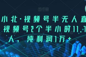 言小北·视频号半无人直播，视频号2个半小时11.7万人，纯利润1万+