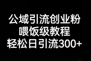 公域引流创业粉，喂饭级教程，轻松日引流300+