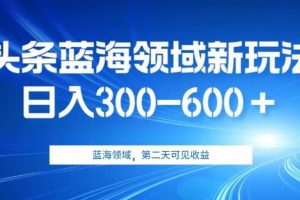 AI头条野路子蓝海领域新玩法2.0，日入300-600＋，附保姆级教程