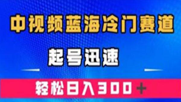 《中视频蓝海冷门赛道》韩国视频奇闻解说，起号迅速，收益不错