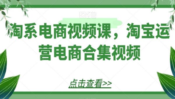 淘系电商视频课，淘宝运营电商合集视频