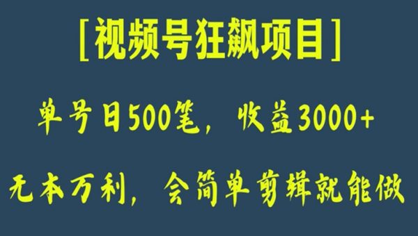 日收款500笔，纯利润3000+，视频号狂飙项目，会简单剪辑就能做