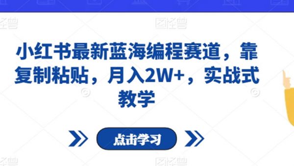 小红书最新蓝海编程赛道，靠复制粘贴，月入2W+，实战式教学