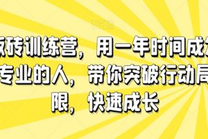 板砖训练营，用一年时间成为专业的人，带你突破行动局限，快速成长