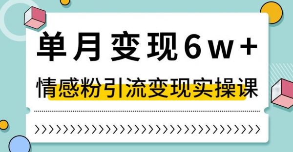 单月变现6W+，抖音情感粉引流变现实操课，小白可做，轻松上手，独家赛道