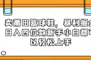 卖莆田篮球鞋，暴利掘金日入四位数新手小白都可以轻松上手