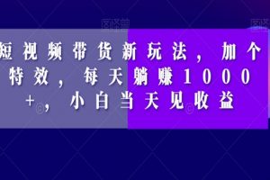 短视频带货新玩法，加个特效，每天躺赚1000+，小白当天见收益