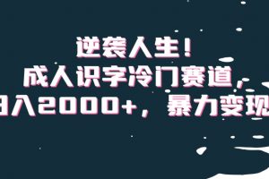 逆袭人生！成人识字冷门赛道，日入2000+，暴力变现！