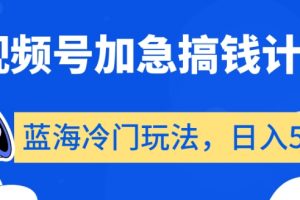 视频号加急搞钱计划，蓝海冷门玩法，日入500+