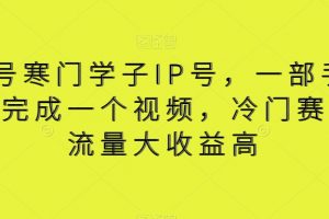 视频号寒门学子IP号，一部手价5分钟完成一个视频，冷门赛道，流量大收益高